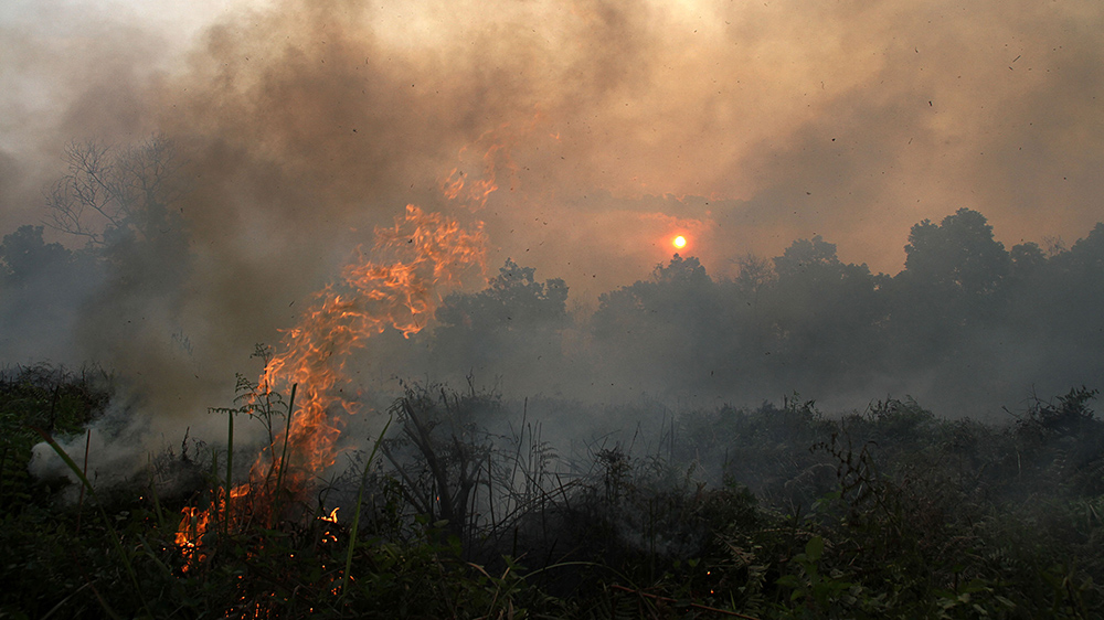 Api membakar lahan gambut di Pekanbaru, Riau, Sabtu (27/9). Kencangnya tiupan angin membuat petugas dan warga kewalahan memadamkan api. ANTARA FOTO/Rony Muharrman/ss/pd/14