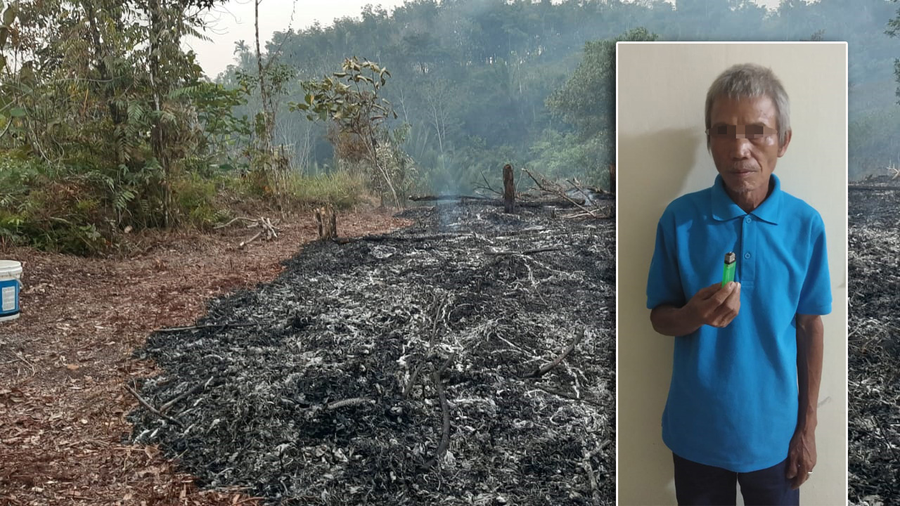 Polisi Kembali Tangkap Warga Bakar Ladang Kalimantan Today