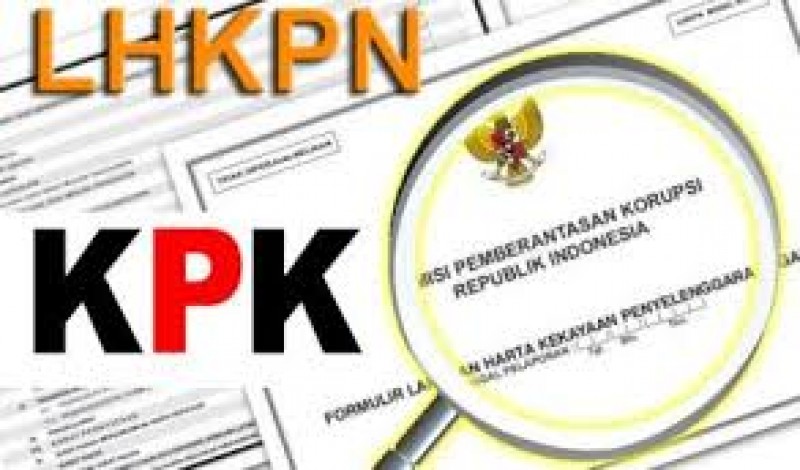 LHKPN/Net