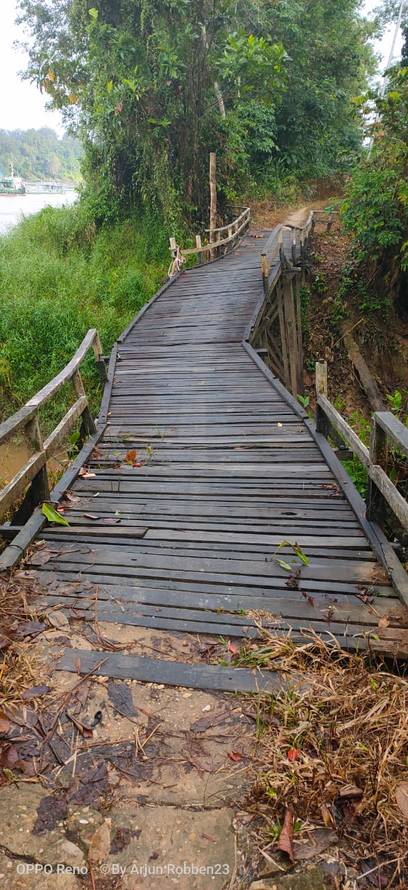 Foto--Kondisi jembatan yang menghubungkan dua desa di Kecamatan Kapuas dan Kecamatan Mukok, Selasa (19/11).