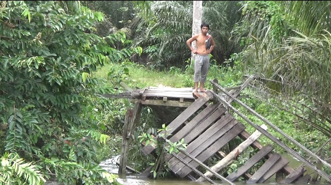 Jembatan Kayu yang mengubungkan dua Dusun di Desa Temiang Sawi 